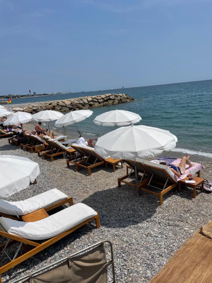 Vue Sur Mer - Magnifique Appartement Tout Confort - Terrasse Et Parking Prive カーニュ・シュル・メール エクステリア 写真